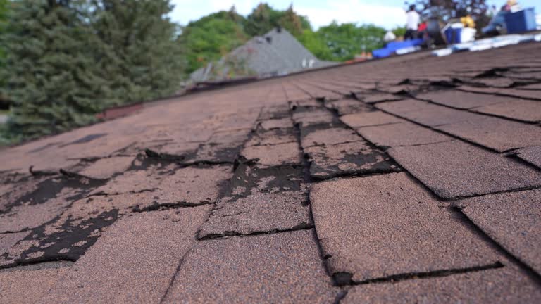 Best Emergency Roof Repair Services  in Ossian, IN